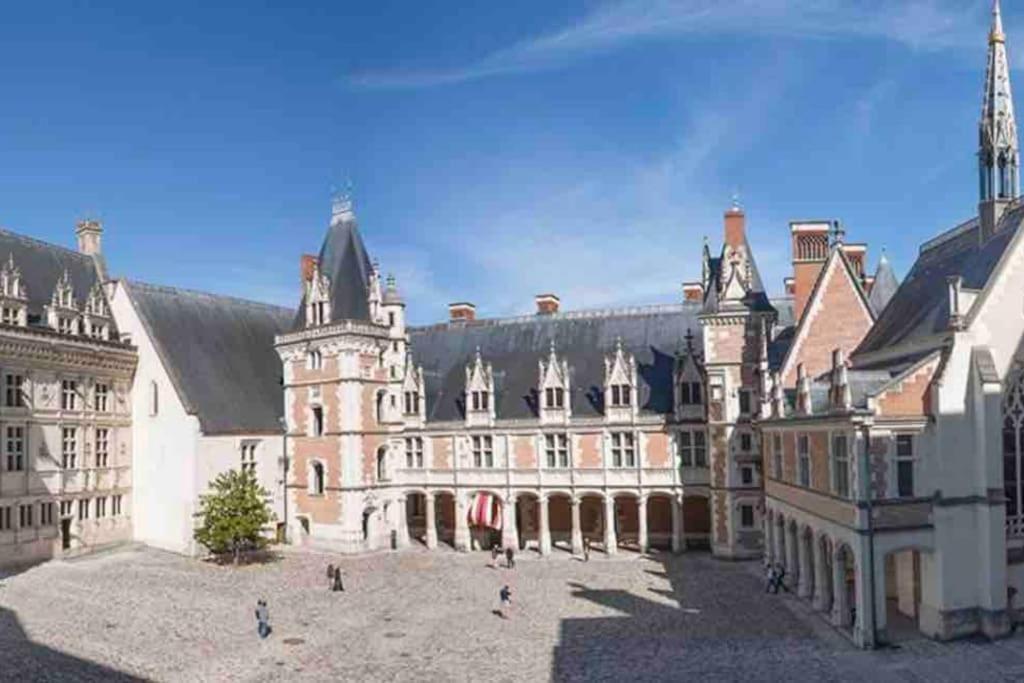 Petite Maison Avec Clim ブロワ エクステリア 写真